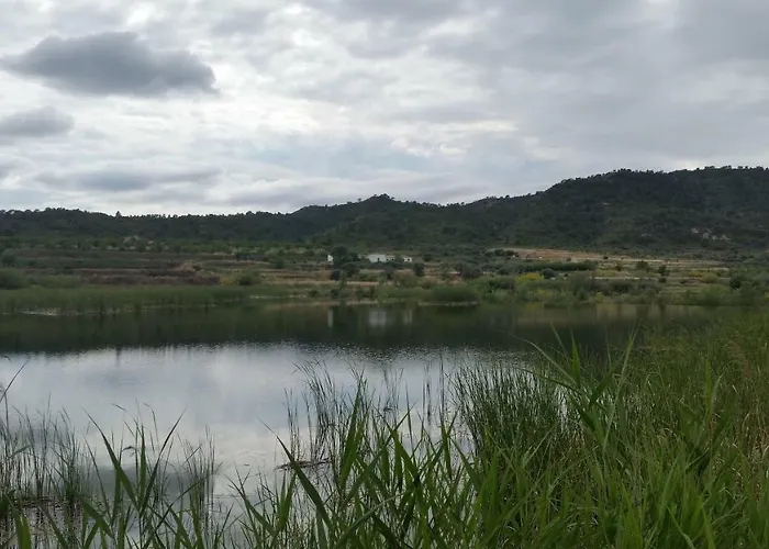 Daire La Torre Del Algas